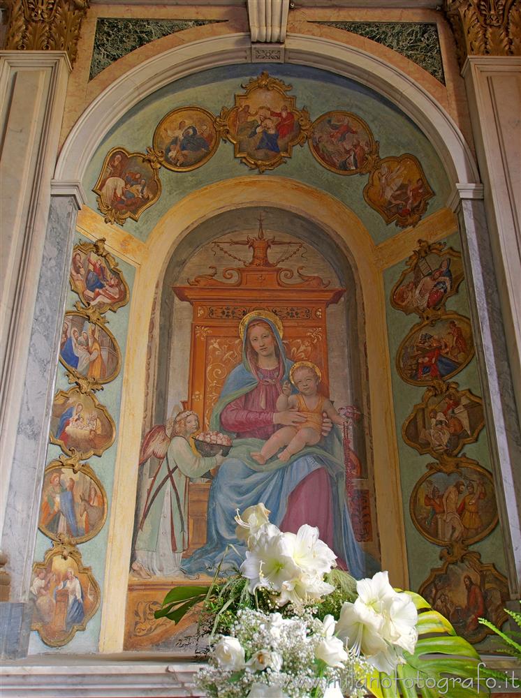 Trezzano sul Naviglio (Milan, Italy) - Virgin with child by Bernardino Luini in the Church of Sant'Ambrogio